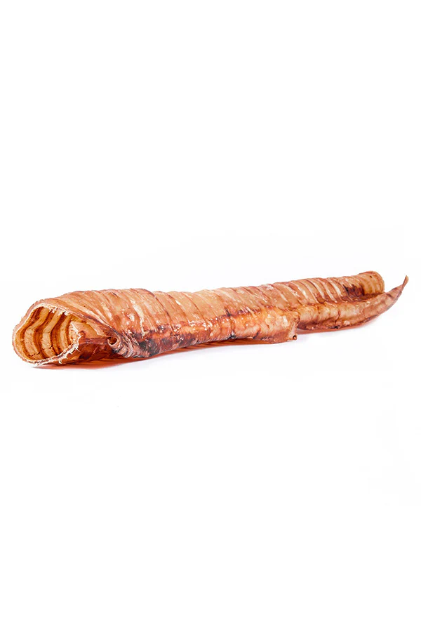 Raw Dog Beef Trachea Tube Dog Chew - Image 2