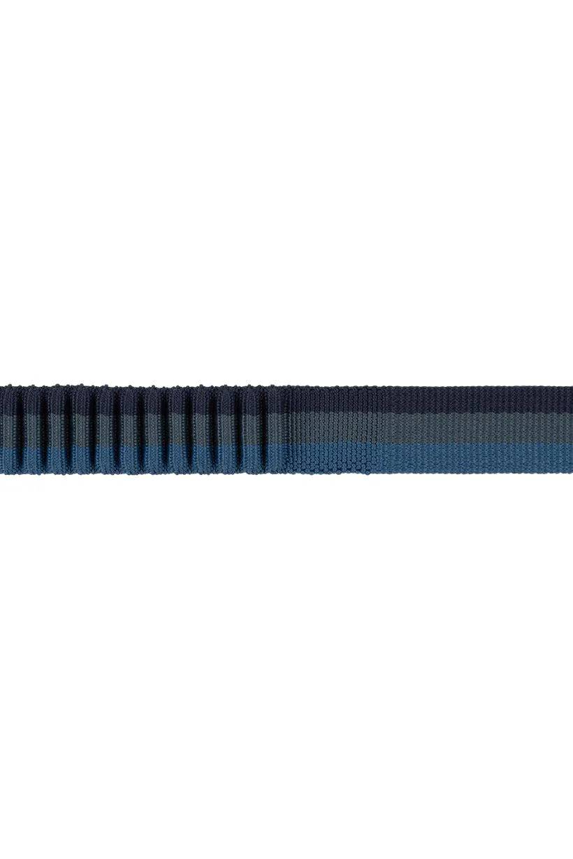 Ruffwear Roamer Orion Blue Bungee Dog Leash - Image 2