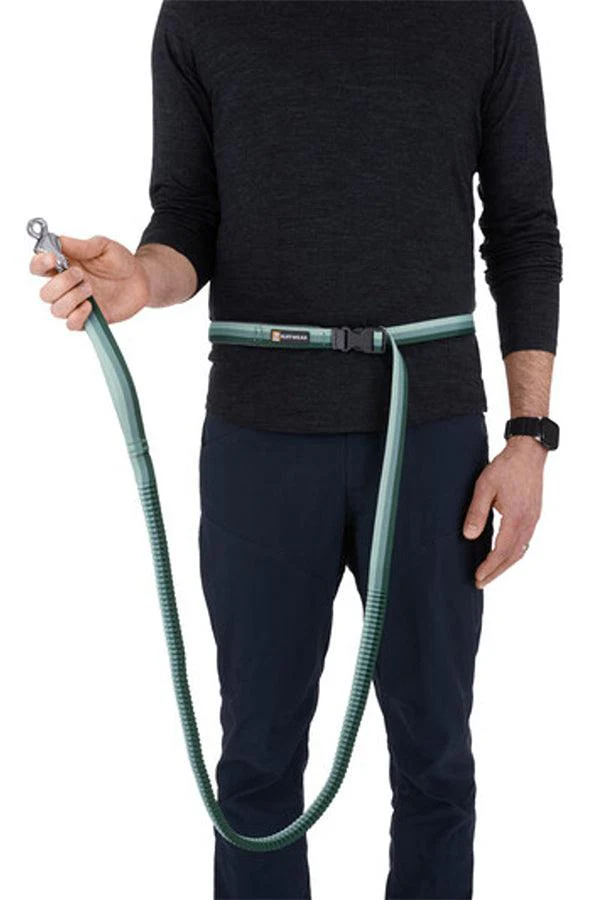 Ruffwear Roamer River Rock Green Bungee Dog Leash - Image 3
