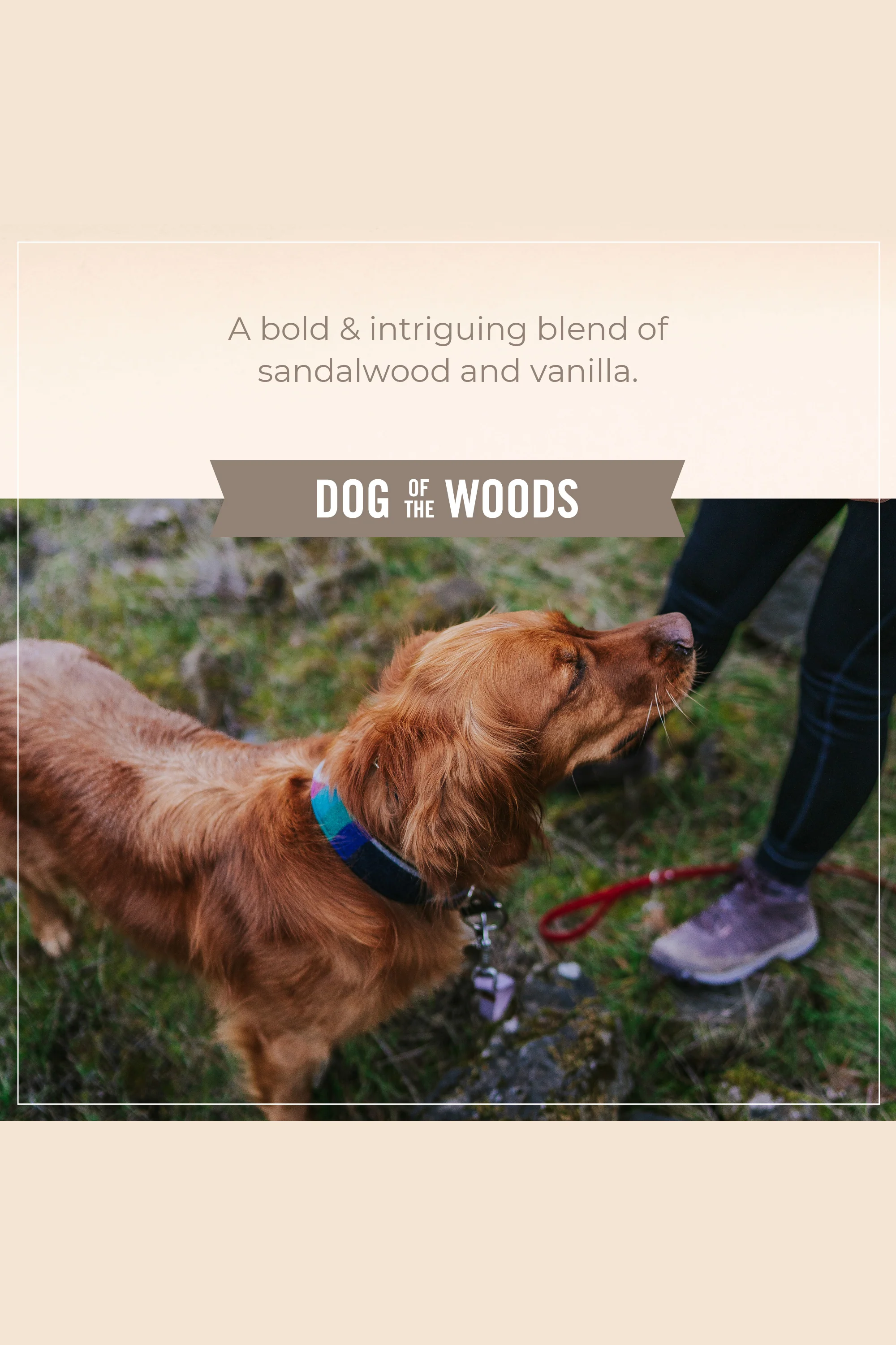 Skout's Honor Probiotic Dog of the Woods Detangler - Image 6