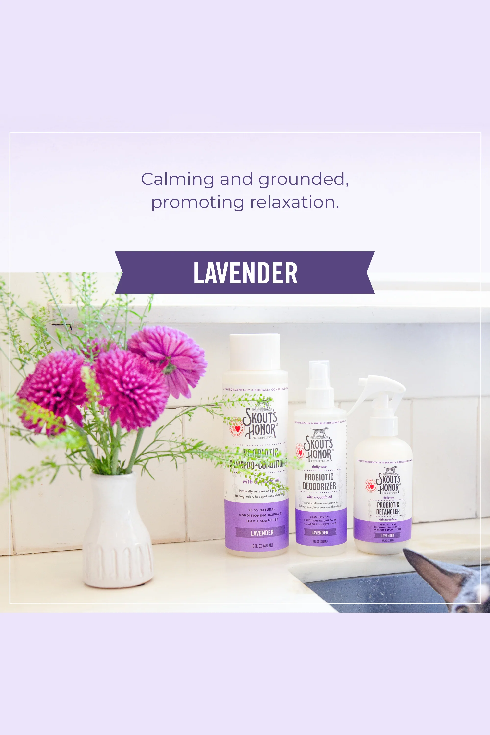 Skout's Honor Probiotic Lavender Detangler - Image 5