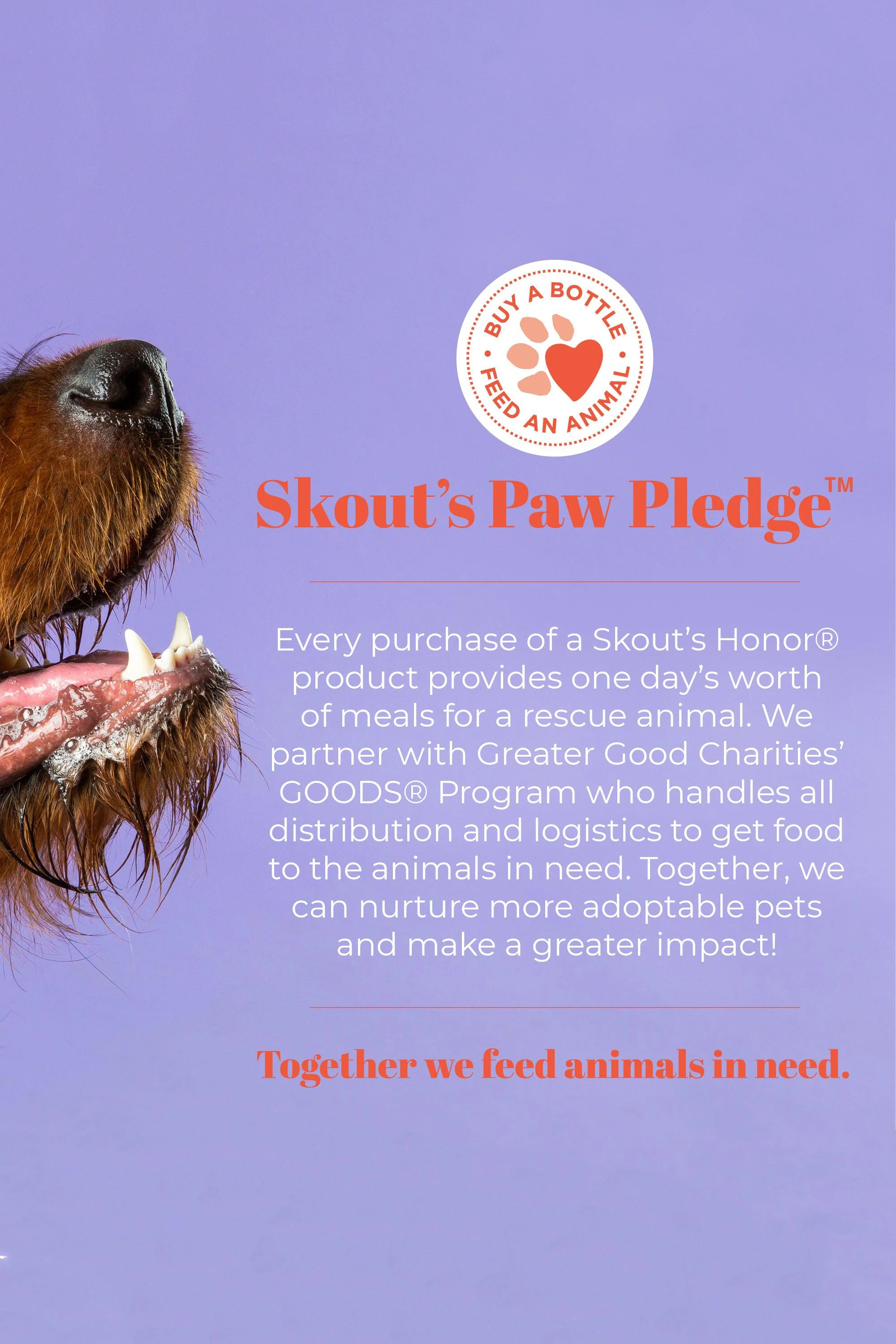 Skout's Honor Probiotic Lavender Detangler - Image 9
