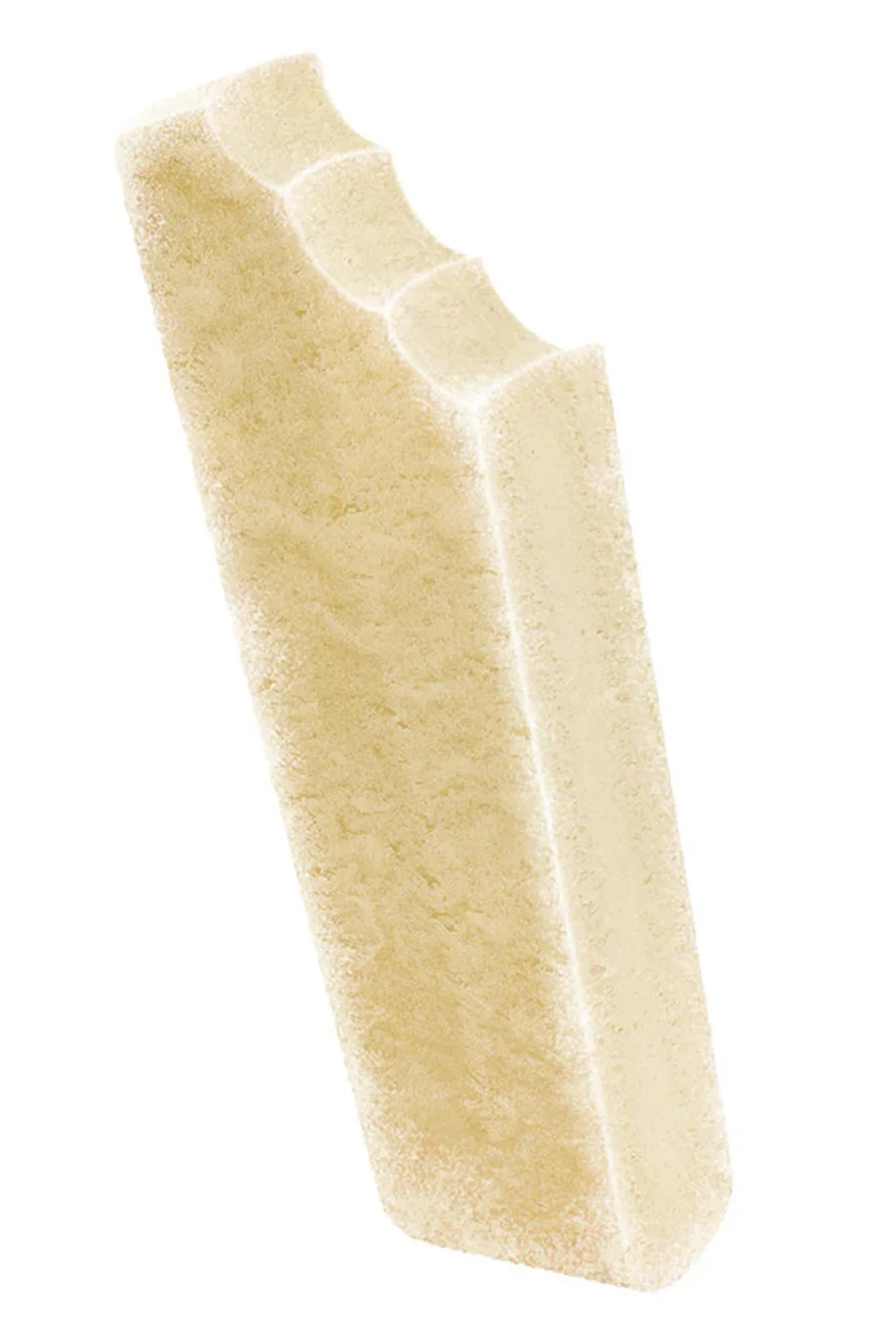 Spunky Pup Ice Cream Dog Treat - Image 2