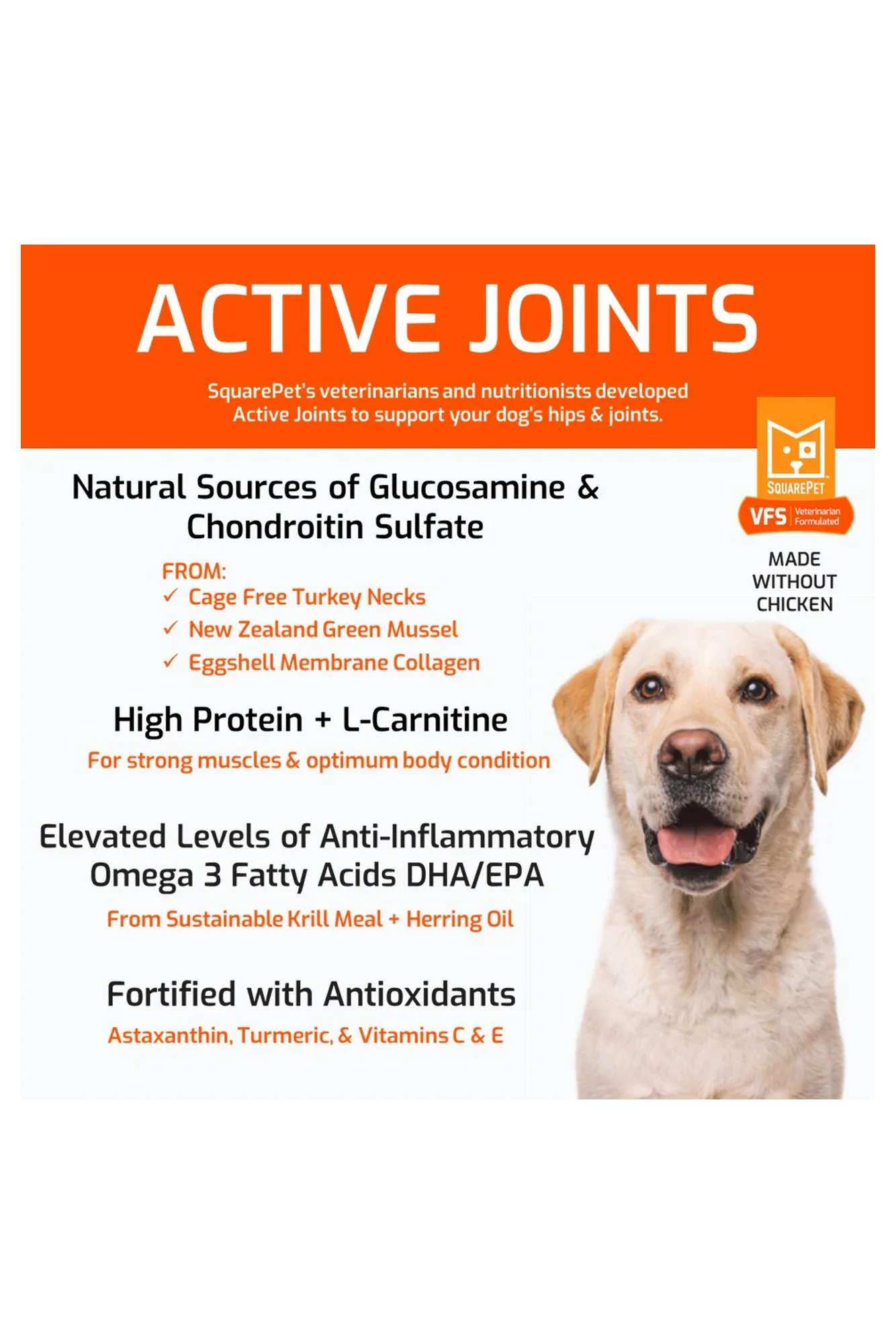 SquarePet VFS Active Joints Dry Dog Food - Image 2