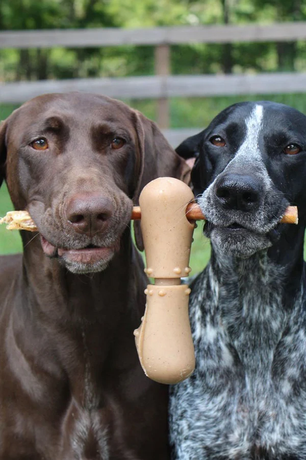 Tall Tails Bully Stick Holder - Image 5