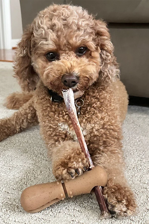 Tall Tails Bully Stick Holder - Image 6