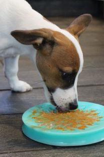 Tall Tails Lickable Suction Cup Reward Dish - Image 3