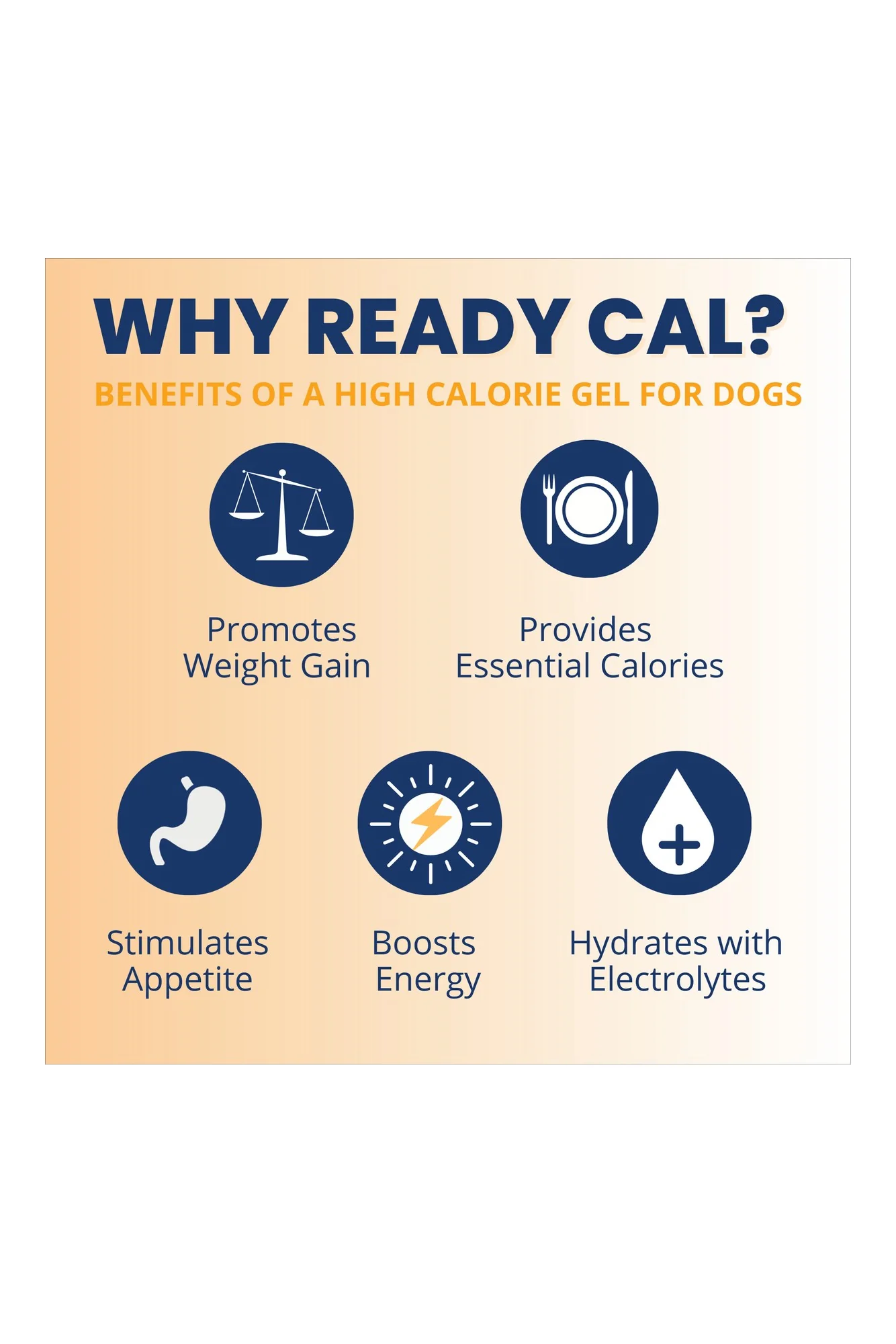 Under the Weather Ready Cal Plus + Electrolytes Squeezable for Dogs - Image 3