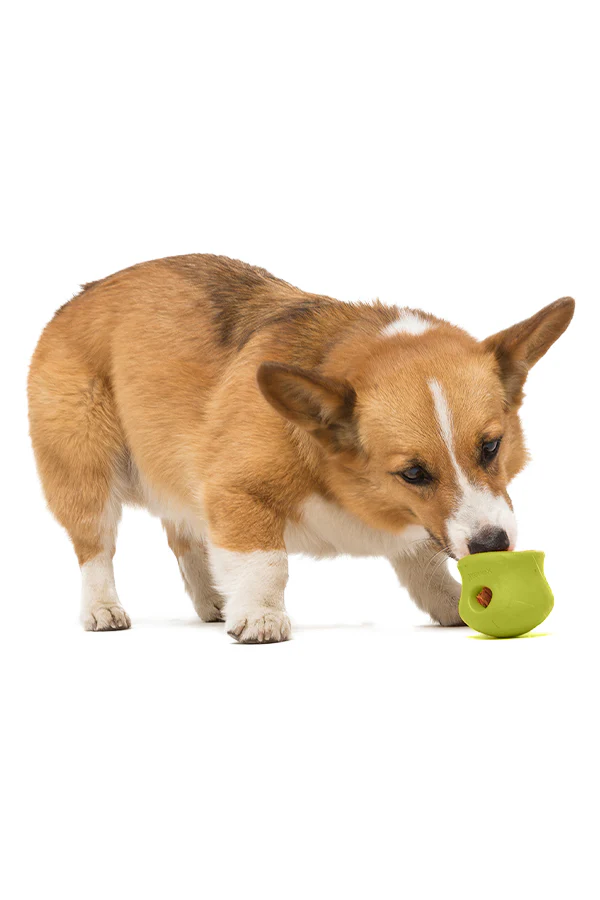 West Paw Zogoflex Toppl Granny Smith Dog Toy - Image 3