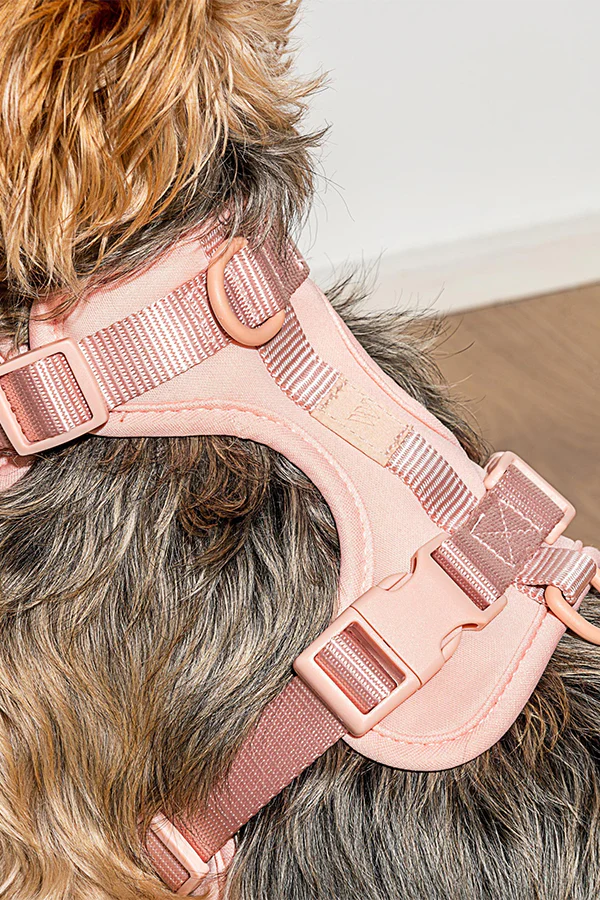 Wild One Blush Dog Harness - Image 2