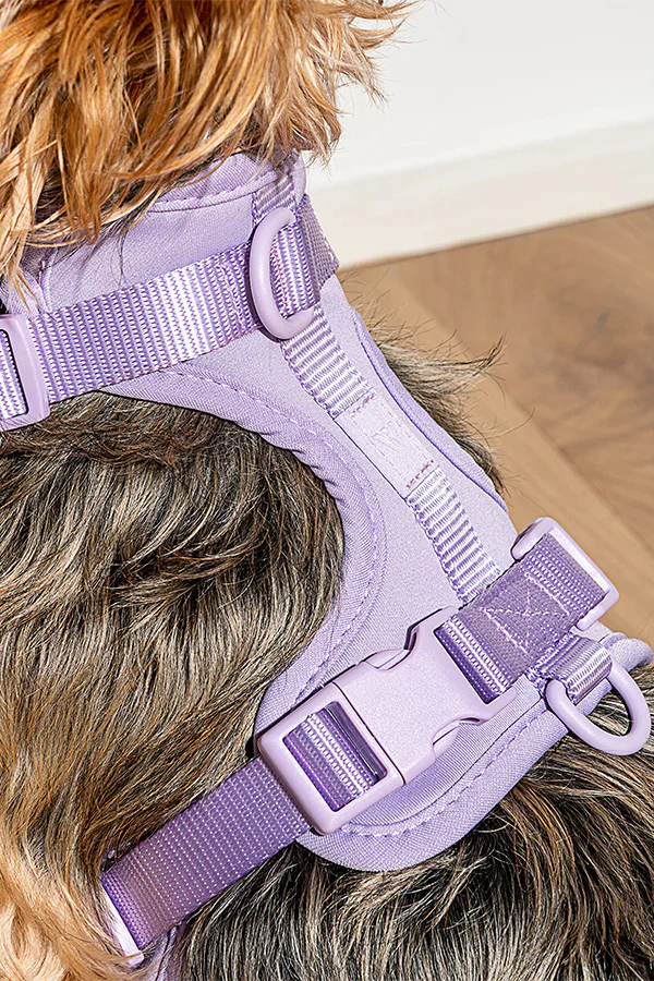 Wild One Lilac Dog Harness - Image 2