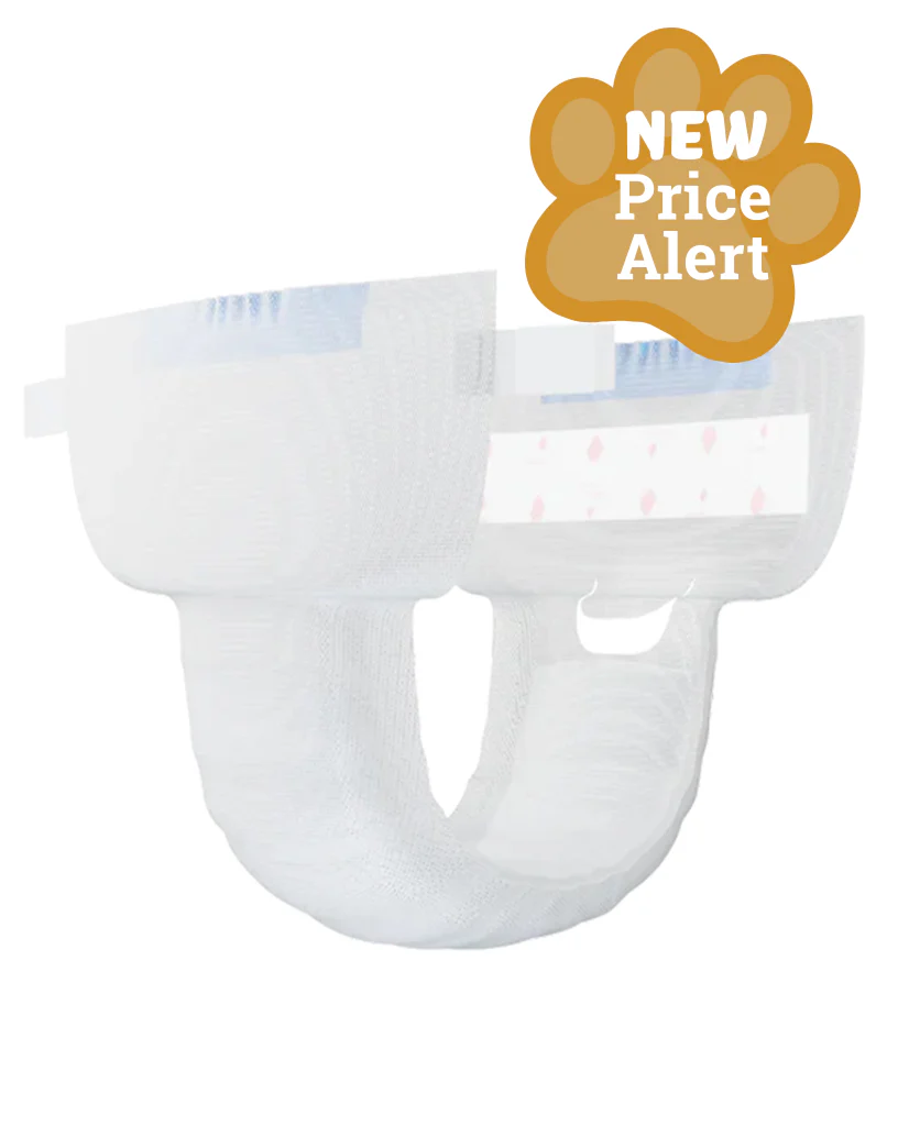 WizSmart Ultra Dry Disposable Diapers