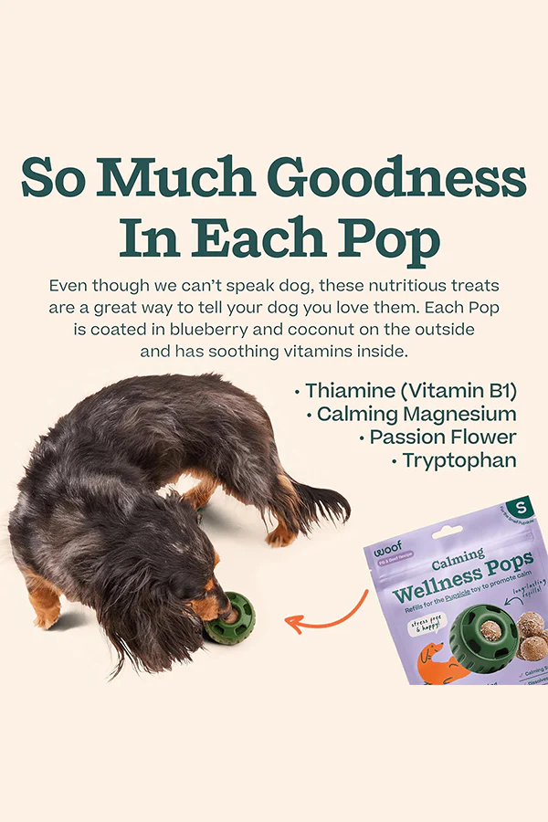Woof Pupsicle Beef and Peanut Butter Calming Refill Pops Dog Toy - Image 5