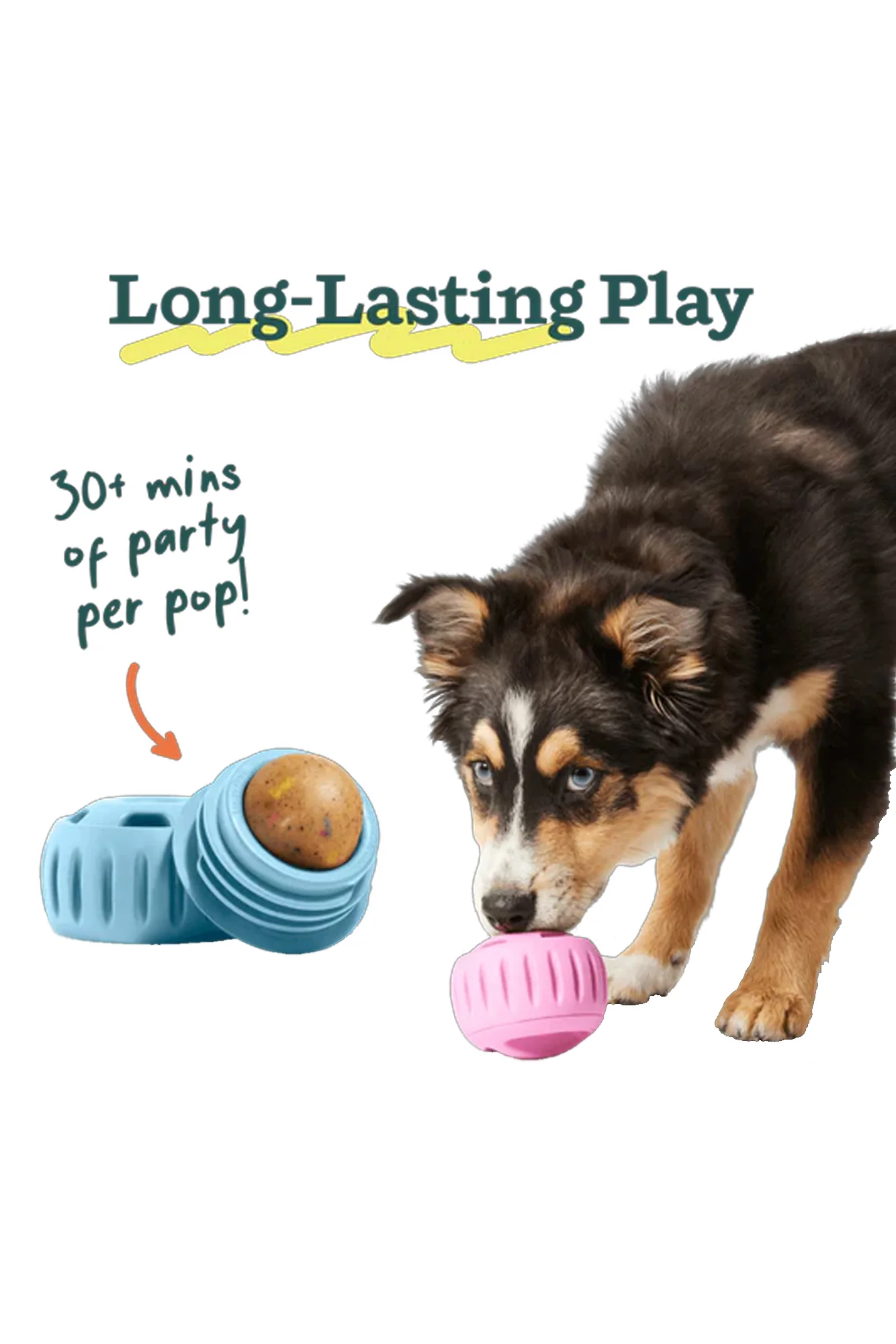 Woof Pupsicle Birthday Blue Dog Toy - Image 2