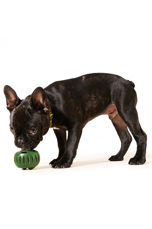 Woof Pupsicle Chicken and Peanut Butter Refill Pops Dog Toy - Image 3