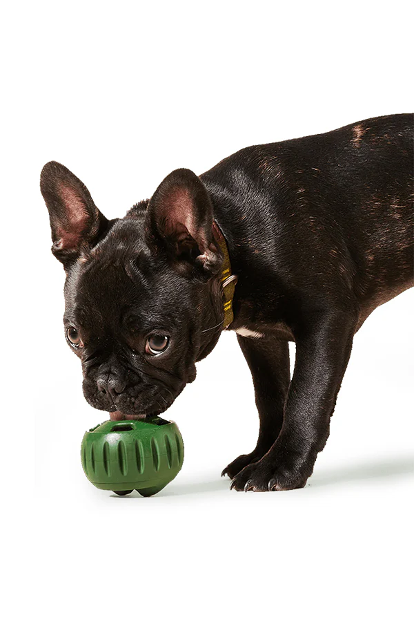 Woof Pupsicle Dog Toy - Image 3