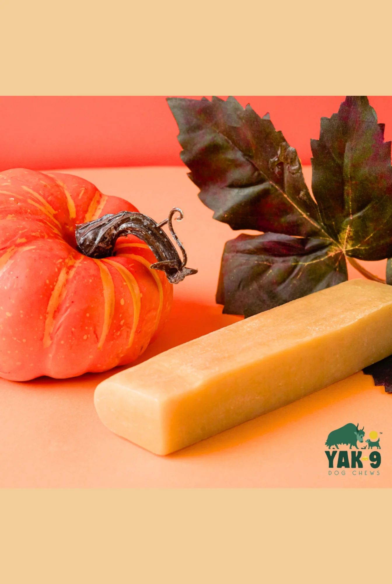 Yak9 Pumpkin Yak Chew - Image 9