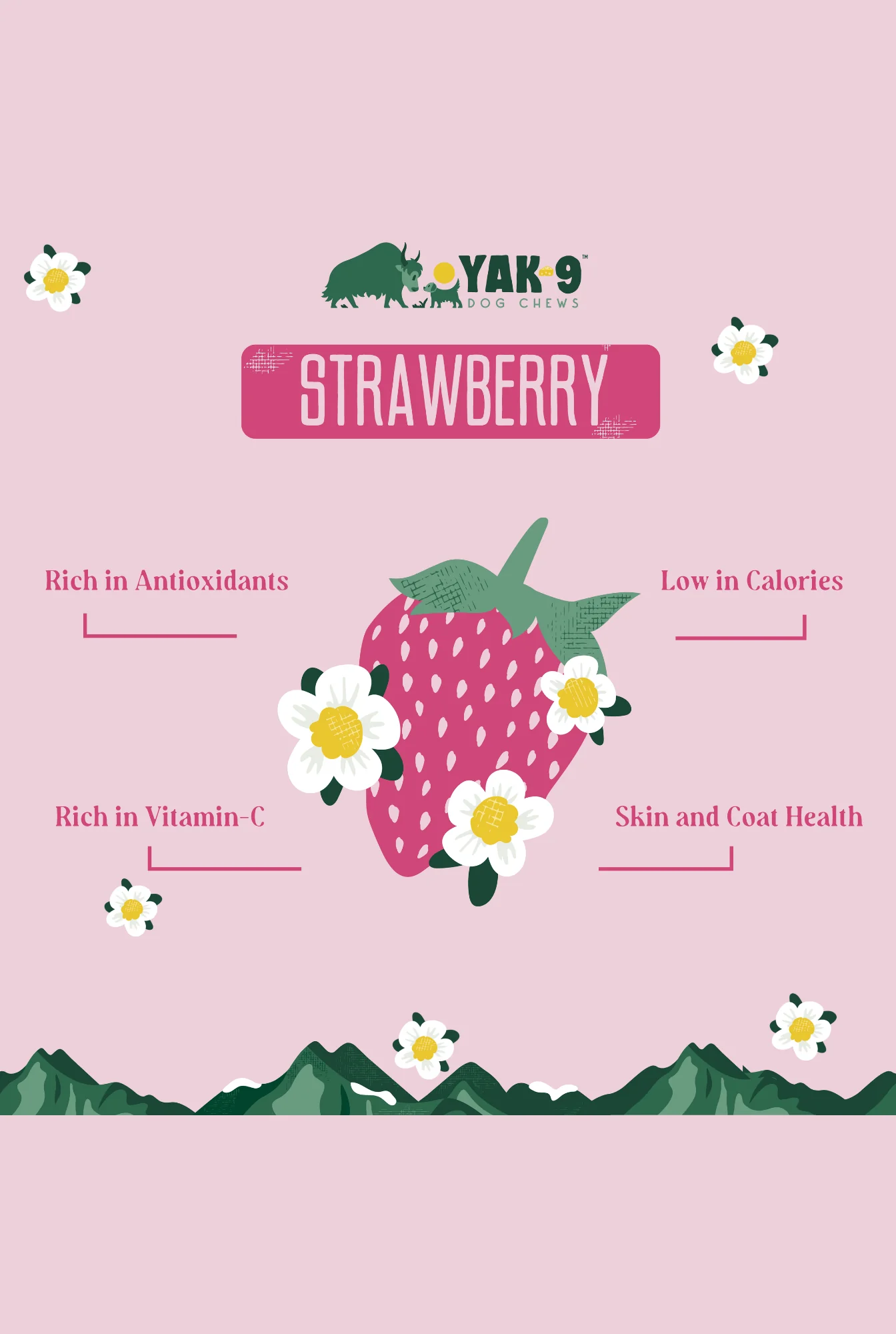 Yak9 Strawberry Yak Chew - Image 4