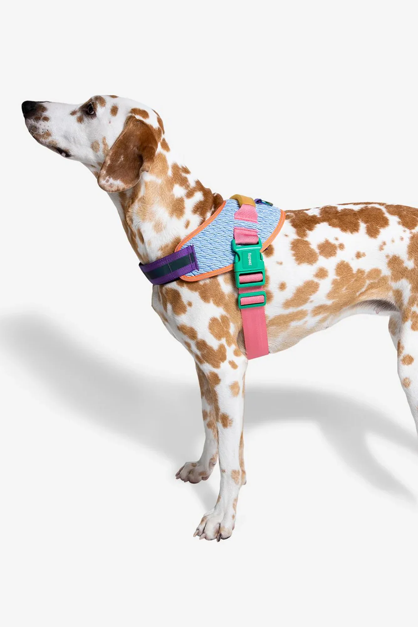 Zee.Dog Galaxy Dog Fly Harness - Image 3