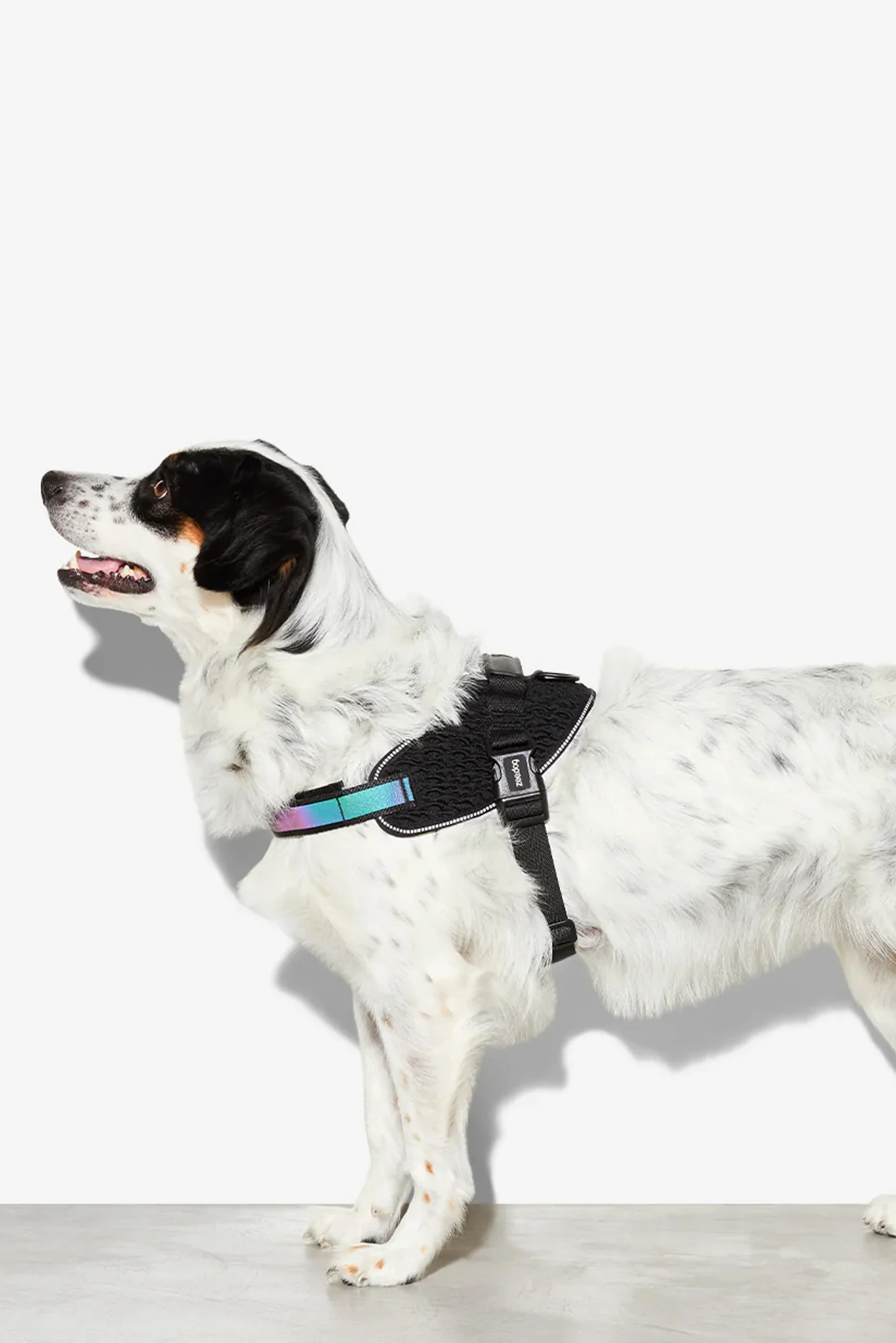 Zee.Dog Gotham Dog Fly Harness - Image 3