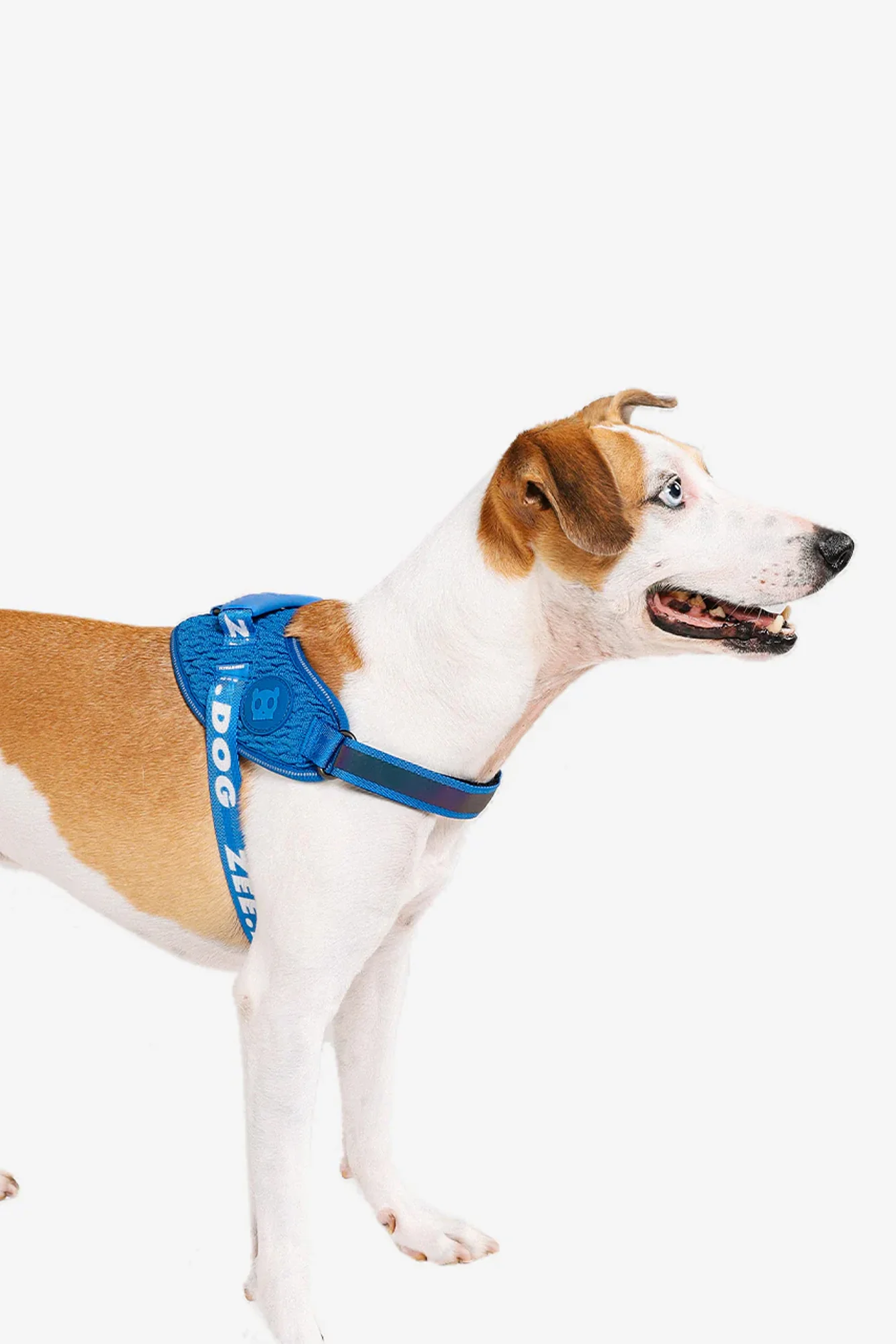 Zee.Dog Slam Dunk Dog Fly Harness - Image 3