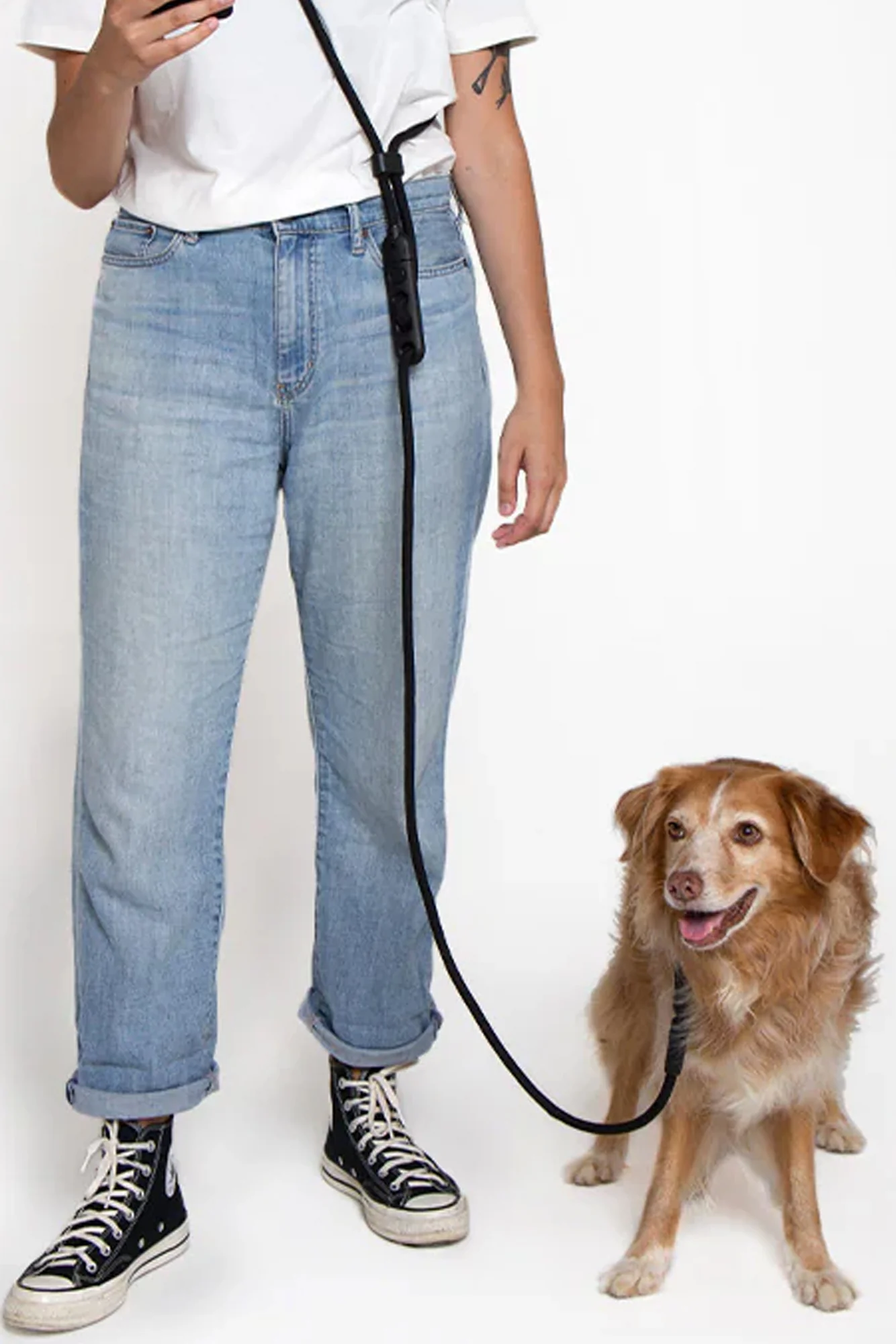 Zee.Dog Gotham Hands-Free Dog Leash - Image 2