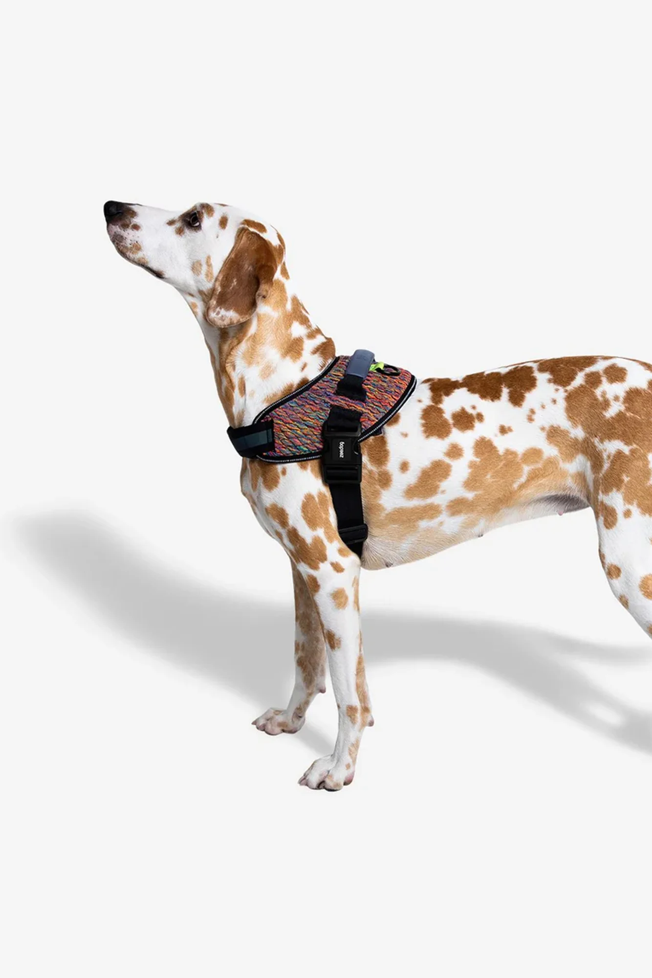 Zee.Dog Vortex Dog Fly Harness - Image 3