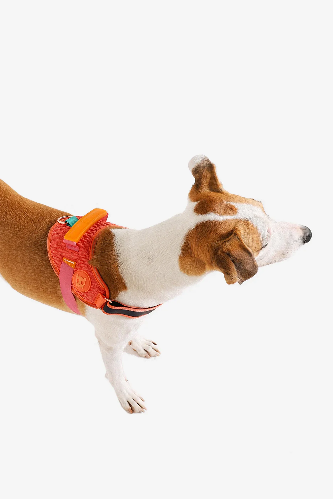 Zee.Dog Gazelle Dog Fly Harness - Image 3