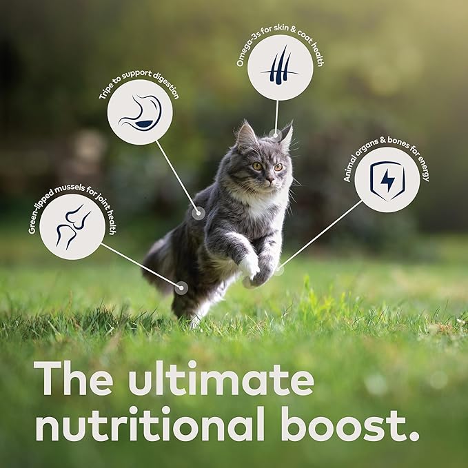 ZIWI Chicken Wet Cat Food - Image 6