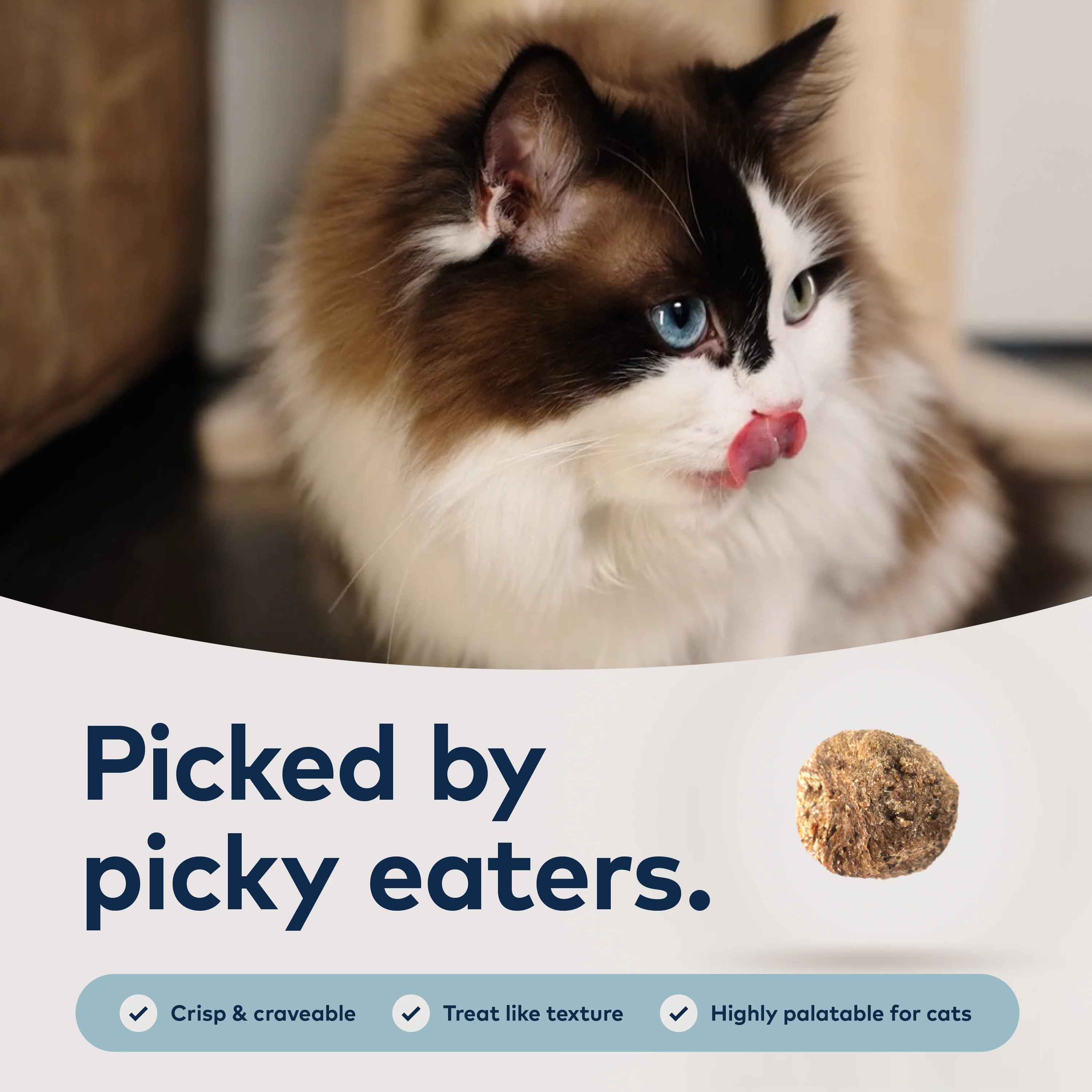 ZIWI Chicken with Mackerel Steam Dried Cat Food - Image 6